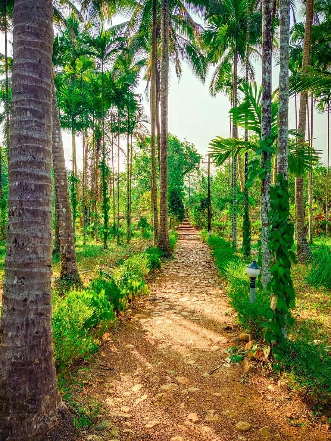 Nature'S Nest Eco Resort Goa, Near Dudhsagar Waterfalls Molem Buitenkant foto