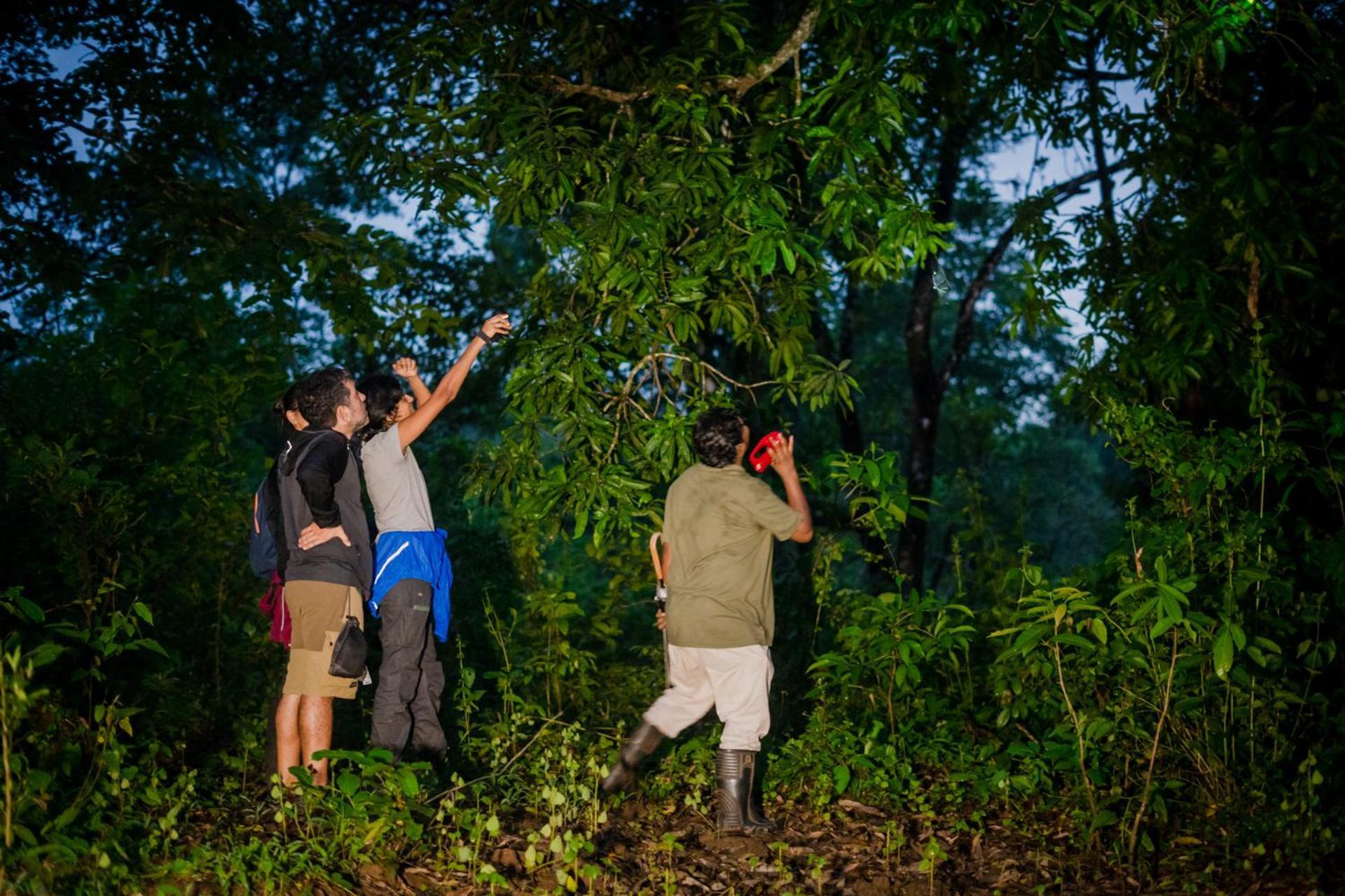 Nature'S Nest Eco Resort Goa, Near Dudhsagar Waterfalls Molem Buitenkant foto