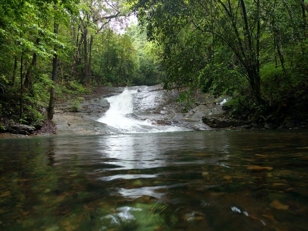 Nature'S Nest Eco Resort Goa, Near Dudhsagar Waterfalls Molem Buitenkant foto